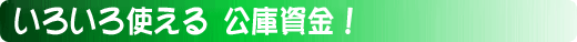 いろいろ使える　公庫資金